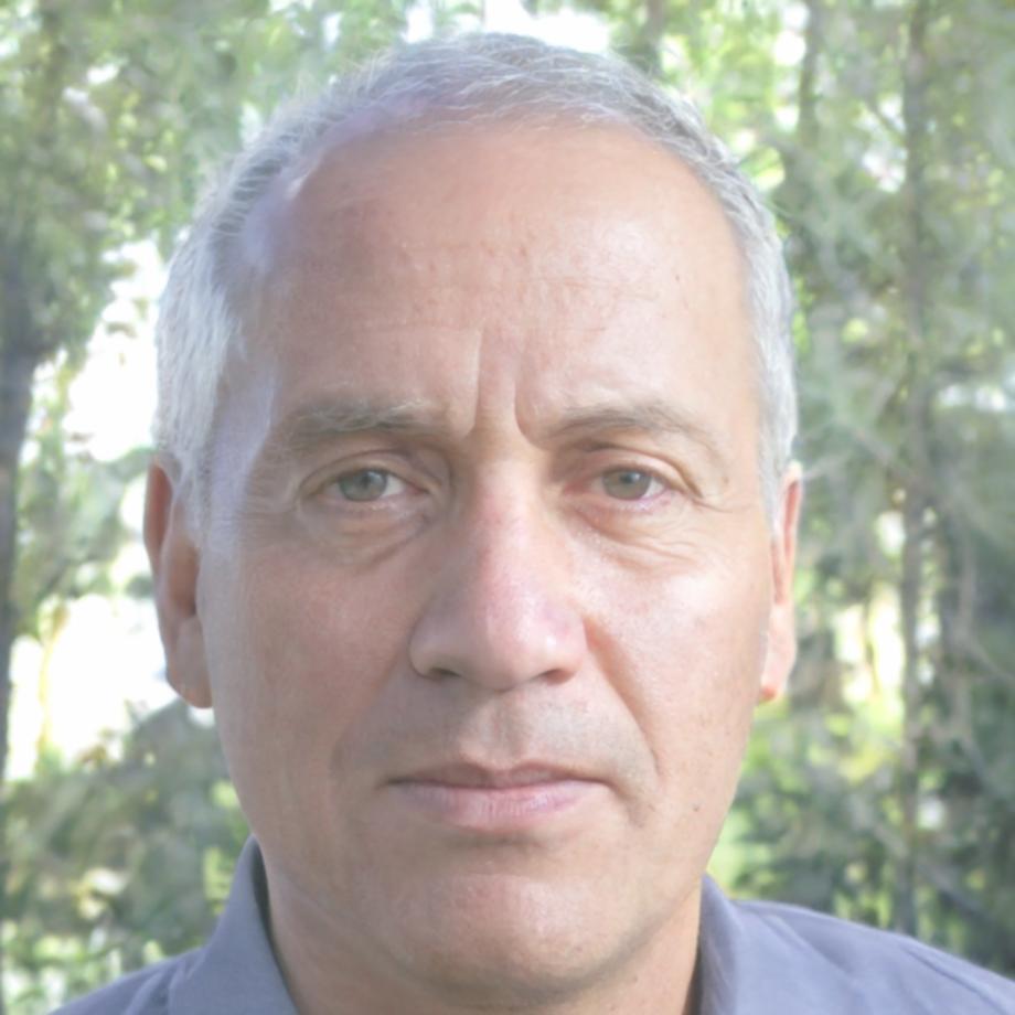 Thomas Schneider, Marktanalyst